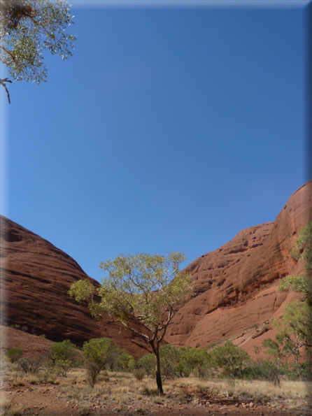 foto Parco nazionale Uluru Kata Tjuta